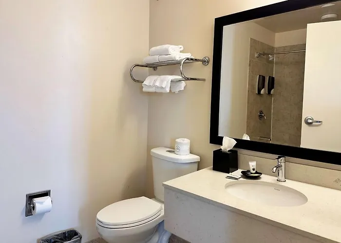 South Loop Hotel