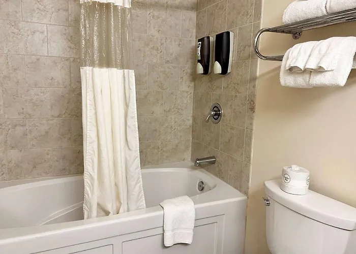 South Loop Hotel 3*